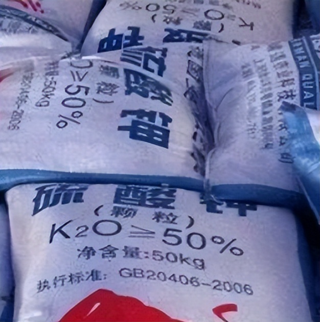 中港?；愤M(jìn)口