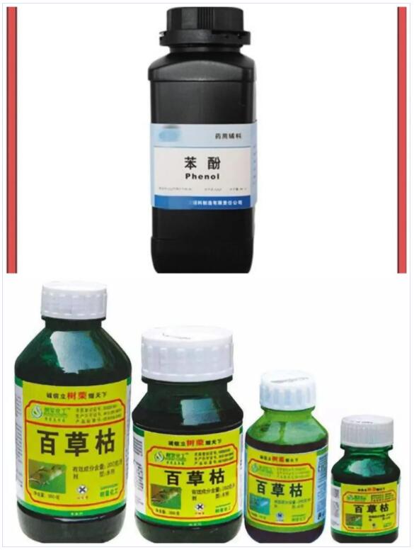 <a href='http://www.jnassjjx.com' title='國際貨運代理' >國際貨運代理</a>